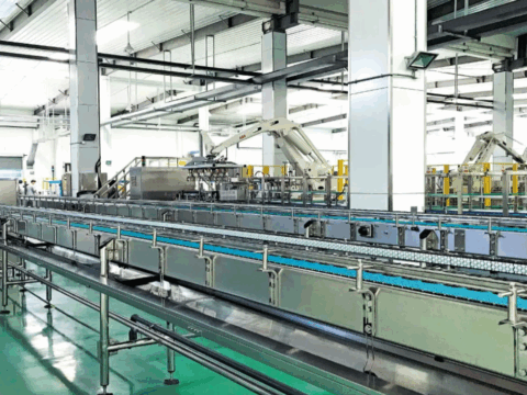Secondary Packaging System