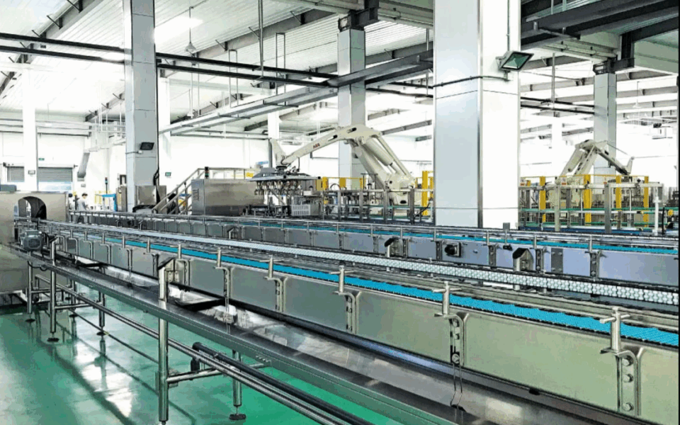 Secondary Packaging System